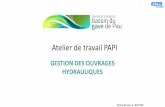 Syndicat mixte du bassin du gave de Pau | Syndicat mixte ...
