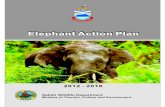 Elephant Action Plan 2012
