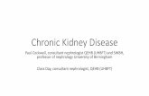 Chronic Kidney Disease - Diabetes Professional Care