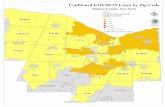 Confirmed COVID-19 Cases by Zip Code - Monroe County
