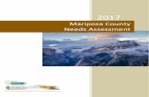 Mariposa County Needs Assessment