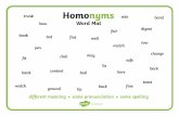 Homonyms - St James C of E Primary