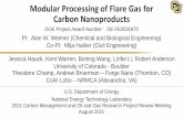 Modular Processing of Flare Gas for Carbon Nanoproducts