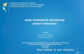 EASA COMPOSITE MATERIALS SAFETY STRATEGY