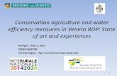 Conservation agriculture and water efficiency measures in ...