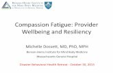 Compassion Fatigue: Provider Wellbeing and Resiliency