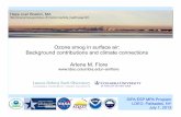Ozone smog in surface air: Background contributions and ...