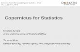 Copernicus for Statistics