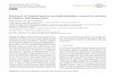 Tolerance of tropical marine microphytobenthos exposed to ...