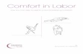 Comfort in Labor - Penny Simkin