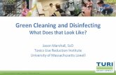 Green Cleaning and Disinfecting - TURI