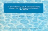 A Functional and Evolutionary Analysis of Rhynchokinesis ...