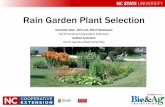 Rain Garden Plant Selection - NCSU
