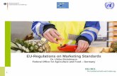 EU-Regulations on Marketing Standards