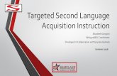 Targeted Second Language Acquisition Instruction