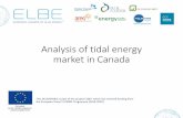 Analysis of tidal energy market in Canada