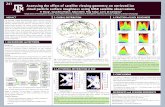 Assessing the Effect of Satellite Viewing Geometry on ...
