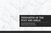 FOOT AND ANKLE TENDONITIS OF THE