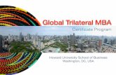 Global Trilateral MBA