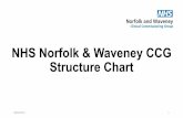 NHS Norfolk & Waveney CCG Structure Chart