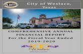 COMPREHENSIVE ANNUAL FINANCIAL REPORT For the Fiscal …