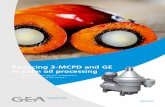 Reducing 3-MCPD and GE in palm oil processing