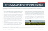 Corporate ownership and dominance of Indonesia’s palm oil ...
