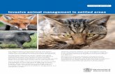 Invasive animal management in settled areas
