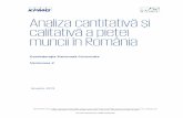 Analiza cantitativă și calitativă a pieței muncii în România