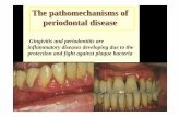 The pathomechanisms of periodontal disease