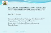 PRACTICAL APPROACHES FOR DIAGNOSIS AND TREATMENT OF ...