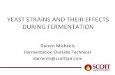 YEAST STRAINS AND THEIR EFFECTS DURING FERMENTATION