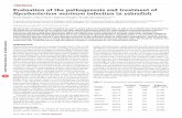 Evaluation of the pathogenesis and treatment of ...