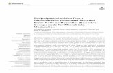 Exopolysaccharides From Lactobacillus paracasei Isolated ...