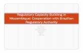 Regulatory Capacity Building in Mozambique: Cooperation ...