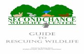 to Rescuing Wildlife - SCWC