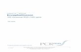 Encephalitozoon - PCRmax