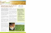 NELSON: High Quality Bread Making Winter Wheat
