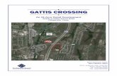 GATTIS CROSSING - LoopNet
