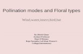 Pollination modes and Floral types