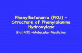 Phenylketonuria (PKU) – Structure of Phenylalanine …