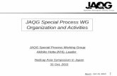 JAQG Special Process WG Organization and Activities