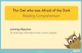 The Owl who was Afraid of the Dark Reading Comprehension ...