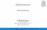 Artificial Chromosomes - ALIAH