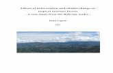 Effects of deforestation and climate change on tropical ...