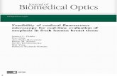 Journal of Biomedical Optics- Feasibility of confocal ...