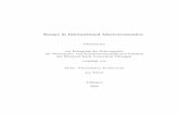 Essays in International Macroeconomics