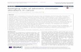 Emerging roles of telomeric chromatin alterations in cancer