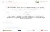 A strategic approach to adaptation in Europe