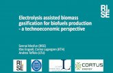 Electrolysis assisted biomass gasification for biofuels ...
